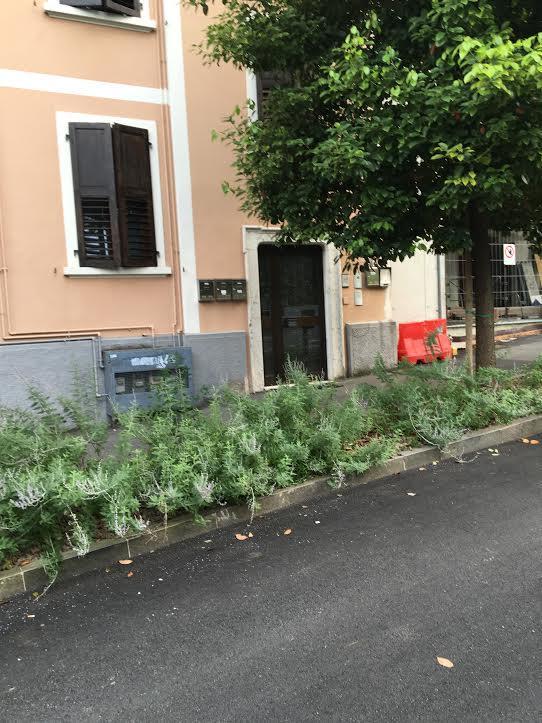 Appartamento I Sentieri 23 Riva del Garda Extérieur photo